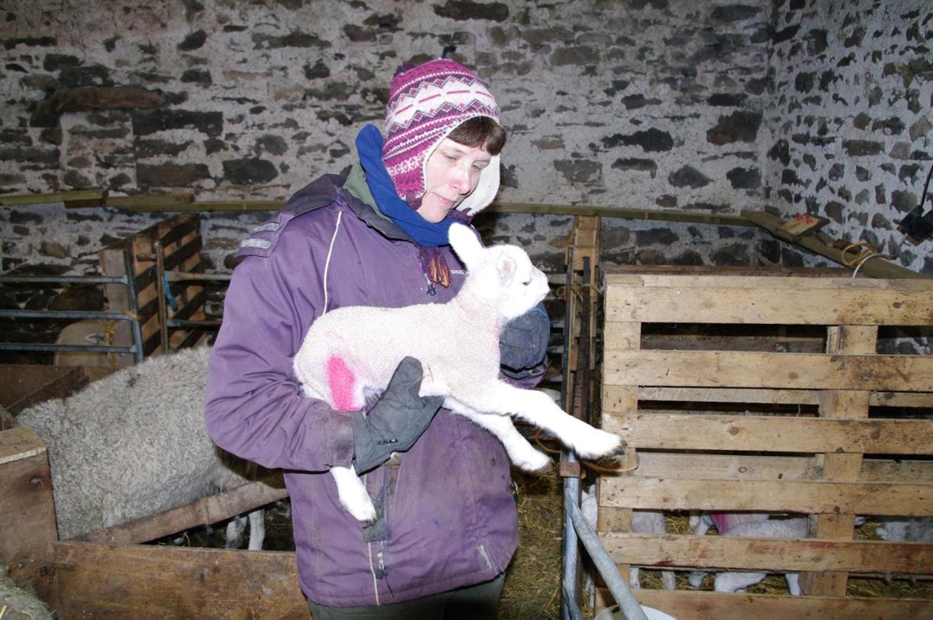 Ullathorns Farm Фермерский дом Киркби-Лонсдейл