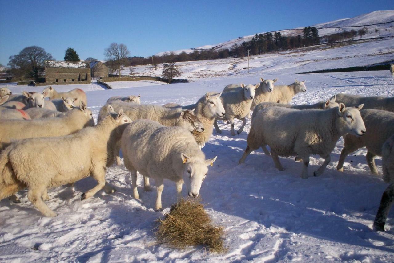 Ullathorns Farm * Киркби-Лонсдейл